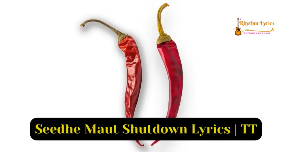 Seedhe Maut Shutdown Lyrics