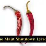 Seedhe Maut Shutdown Lyrics