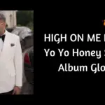 HIGH ON ME Lyrics Yo Yo Honey Singh