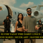 ELVISH YADAV FIRE DABEY LYRICS