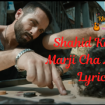 Shahid Kapoor Marji Cha Maalik Lyrics