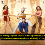 Rabba Mereya Lyrics Vishal Mishra