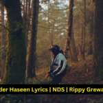 Talwiinder Haseen Lyrics