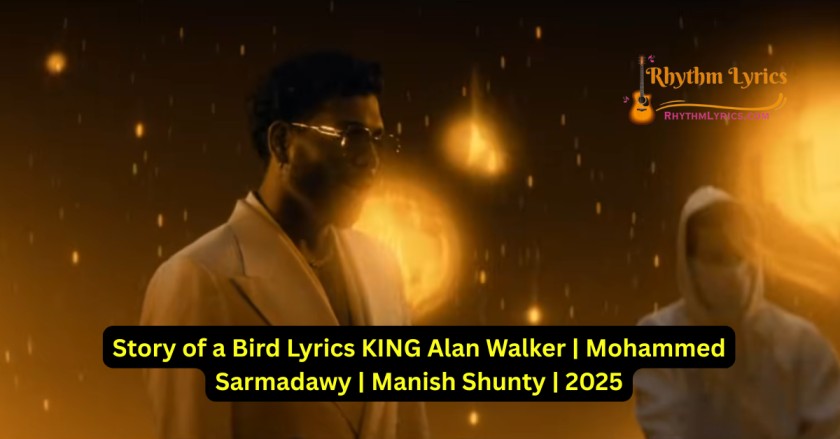 Story of a Bird Lyrics KING Alan Walker