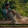 King Yeh Zindagi Hai Lyrics