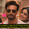 Guzaara Lyrics Baaghi 4