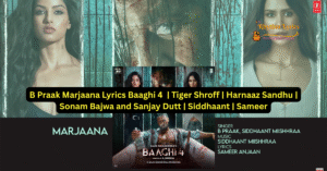 Marjaana Lyrics Baaghi 4